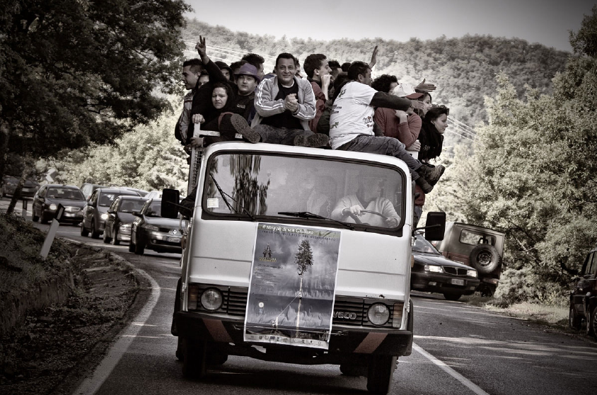 I camion verso la foresta